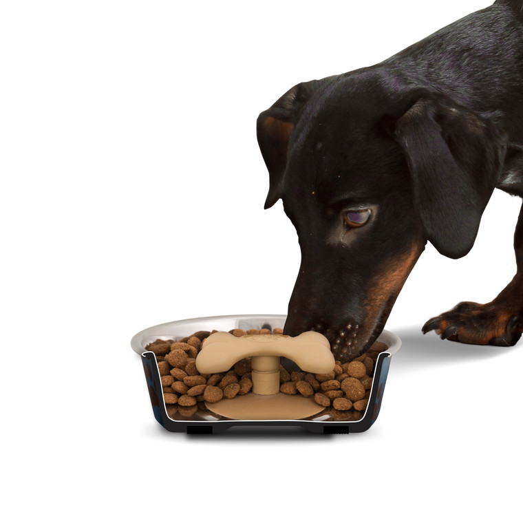 Bowl_w_dog_HR__82112.1645024386.jpg